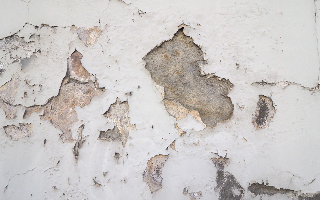 Moisture Around Your Home Foundation Can Lead to Big Problems