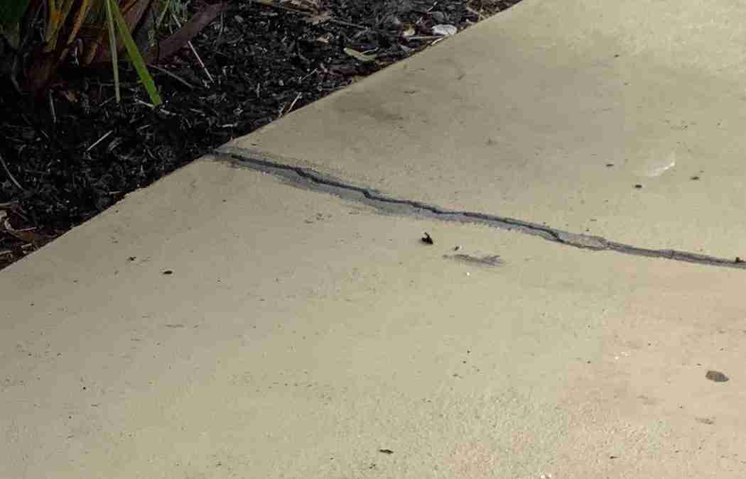 Preventing Driveway Settlement In Rainy Climates Before Water Wins