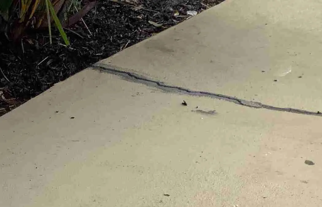 Preventing Driveway Settlement In Rainy Climates Before Water Wins