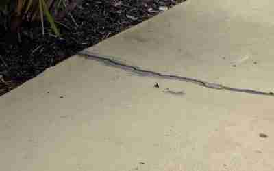 Preventing Driveway Settlement In Rainy Climates Before Water Wins