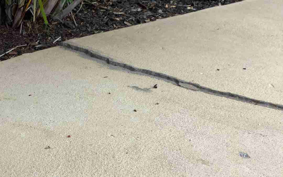 Concrete Slab Lifting Near Me: Find Local Pros Fast