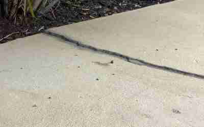 Concrete Slab Lifting Near Me: Find Local Pros Fast