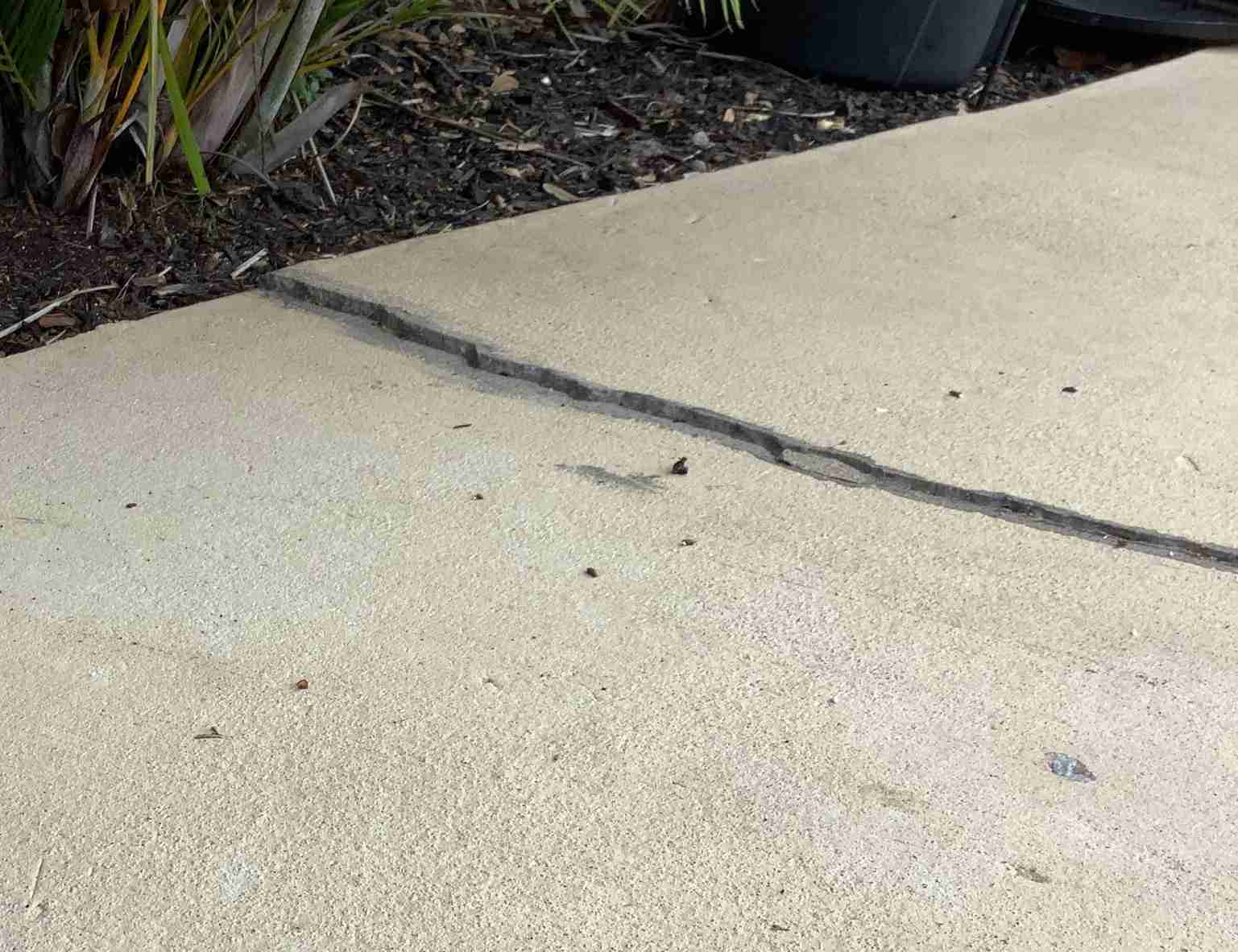 Concrete Slab Lifting Near Me: Find Local Pros Fast