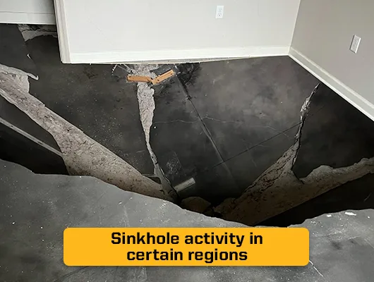 What Causes Sinkholes in Florida—and Should You Worry? 