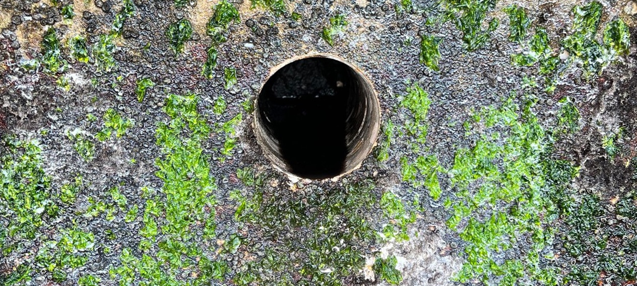 soil stabilization for foundation repairs