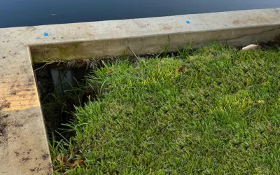 What Causes Soil Loss Behind Seawalls in Florida? 