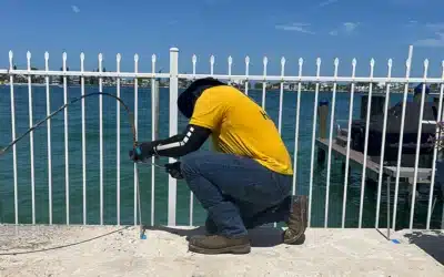 The Critical Role of Seawall Repair in Preserving Florida’s Shores