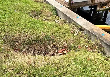 voids or depressions in the yard