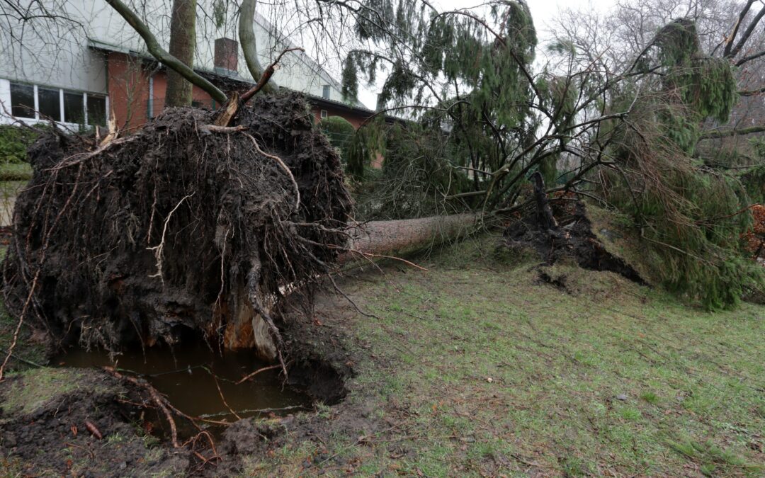 Preparing Your Home for Hurricane Season: Easy Tips to Stay Safe and Secure
