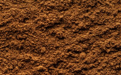 Florida Soil Settlement Prevention: Easy Tips to Protect Your Property