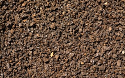 Long-term Soil Strengthening Method for Lasting Garden Health