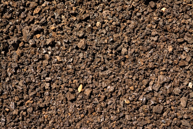 Long-term Soil Strengthening Method for Lasting Garden Health