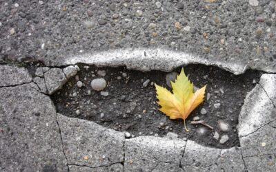 Concrete Leveling Without Demolition Made Easy and Affordable