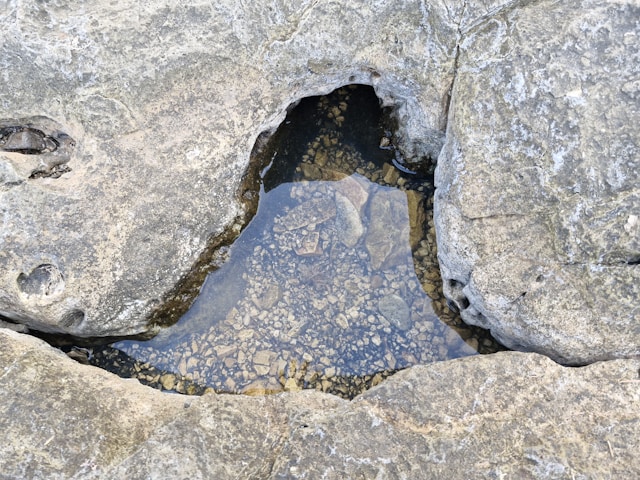 Expert Sinkhole Remediation Service for Safe and Lasting Repairs