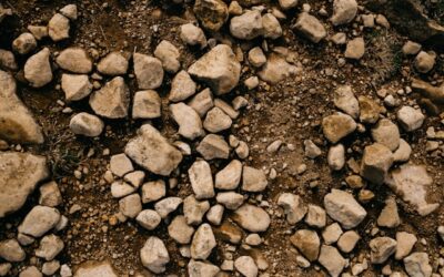Soil Issues in New Construction: Common Problems and Easy Solutions