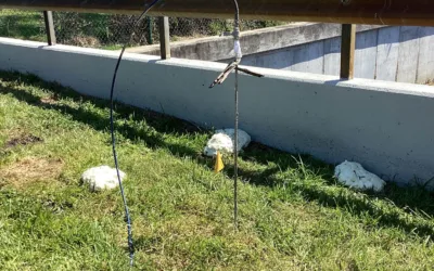 Why Cracked Pavement May Signal a Hidden Storm Drain Problem