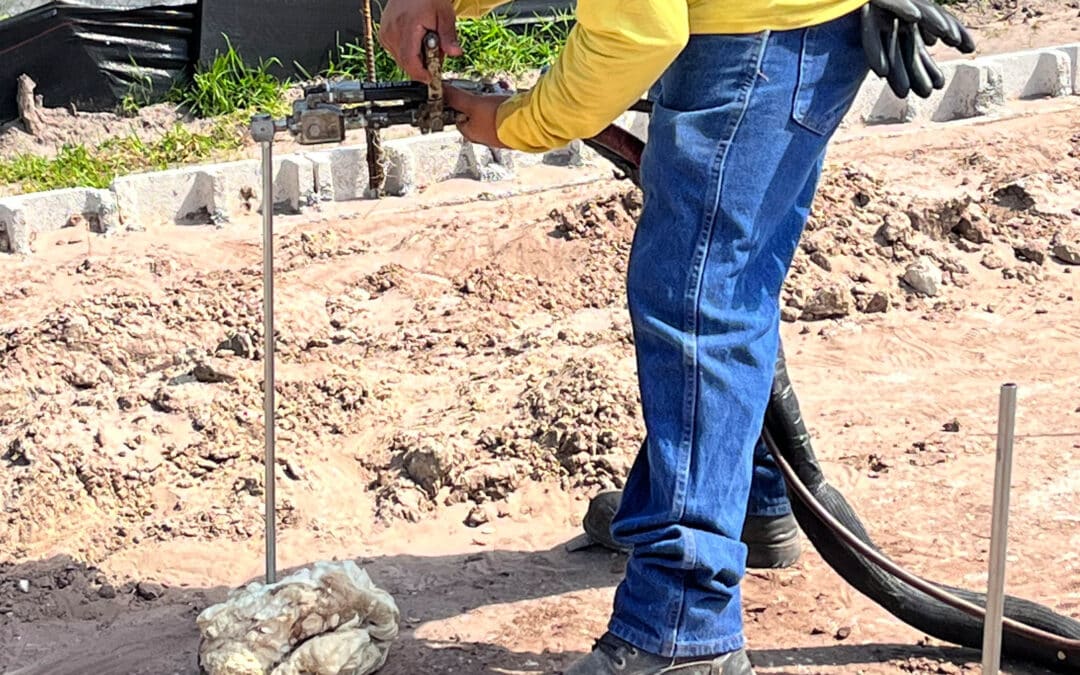 How To Stabilize Florida Clay Soil for Gardens and Foundations