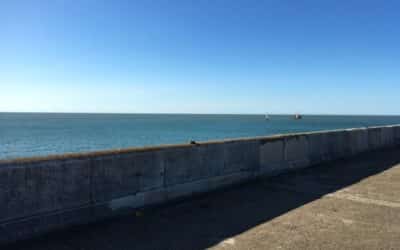 What Causes Seawall Failure in Florida and How to Prevent It?