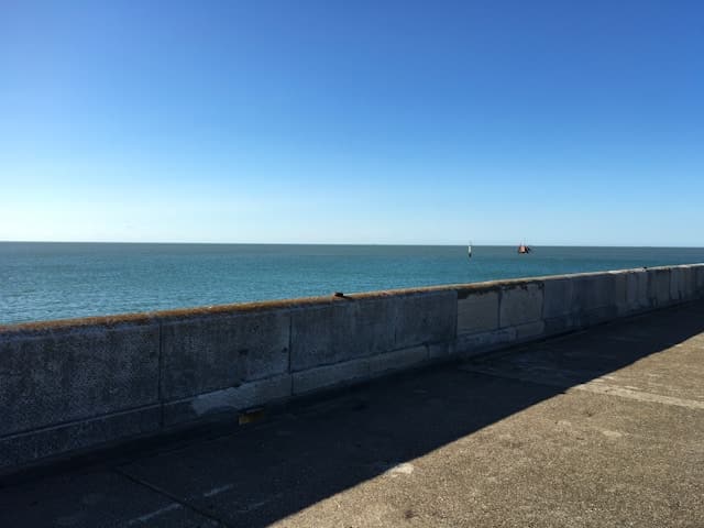 What Causes Seawall Failure in Florida and How to Prevent It?