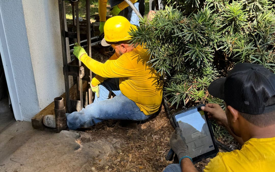 sinkhole alley why tampa bay takes sinkholes so seriously