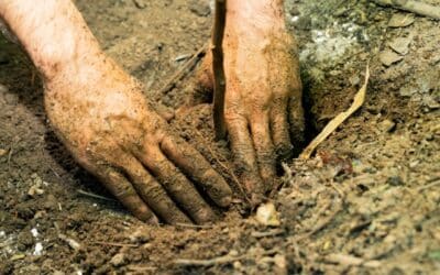 Signs of Poor Soil Compaction and How to Fix Them Easily