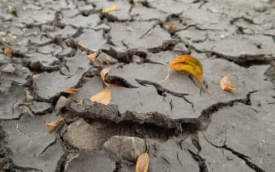 Foundation Crack Repair Cost Explained: Factors and Estimates for Homeowners