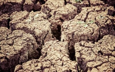 Soil Erosion Repair Experts Florida: Helping You Protect Your Property Easily