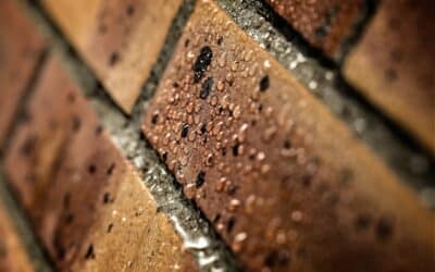 Foundation Waterproofing Florida Homes: Protecting Your Property from Moisture Damage