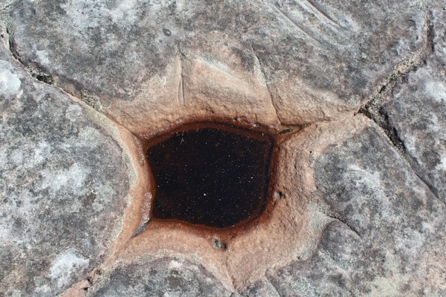 Florida Sinkhole Warning Signs: What Homeowners Should Know