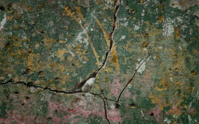 Foundation Repair Companies Near Me: Trusted Experts