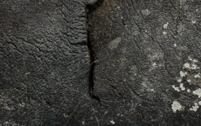 Foundation Crack Repair Near Me: Fixes for Lasting Home Stability