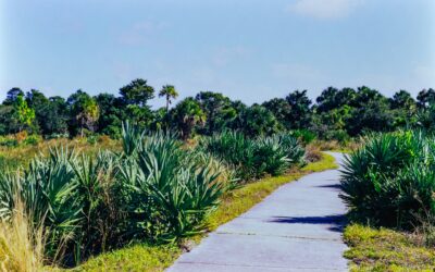 Florida Soil Settlement Prevention Techniques That Work