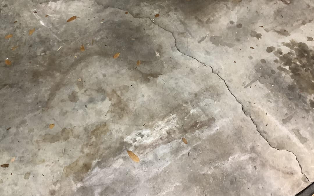 Expansive Soil Foundation Problems [Florida Guide]