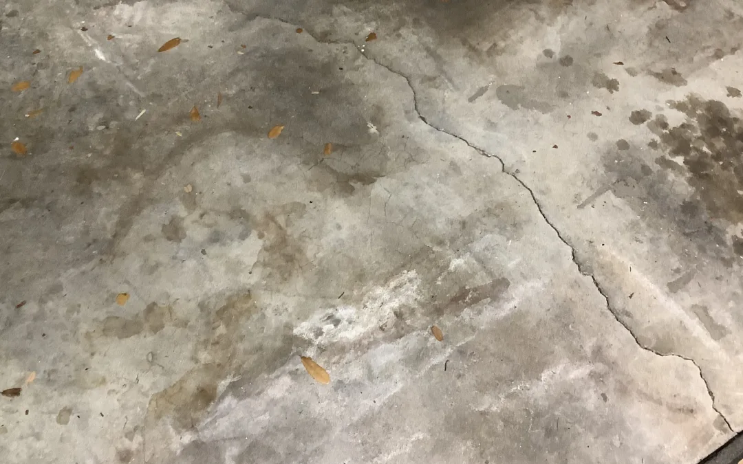 Expansive Soil Foundation Problems [Florida Guide]