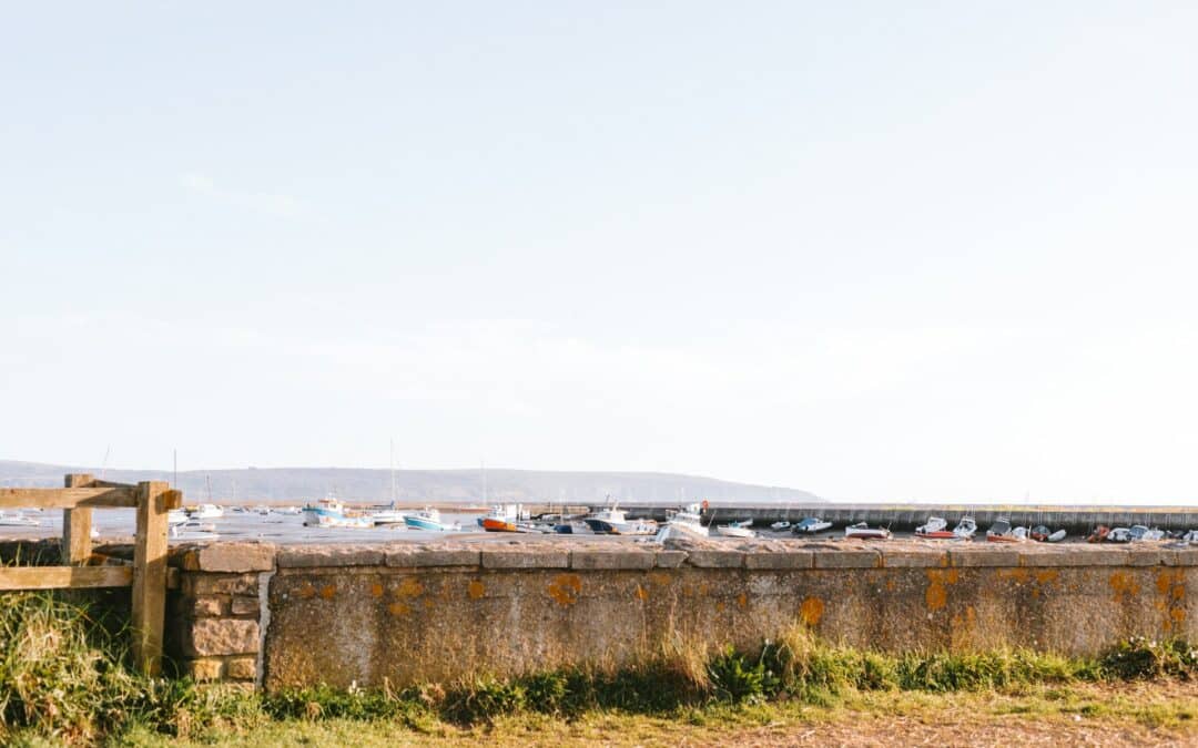 Seawall Erosion Prevention Tips For A Stronger Shoreline