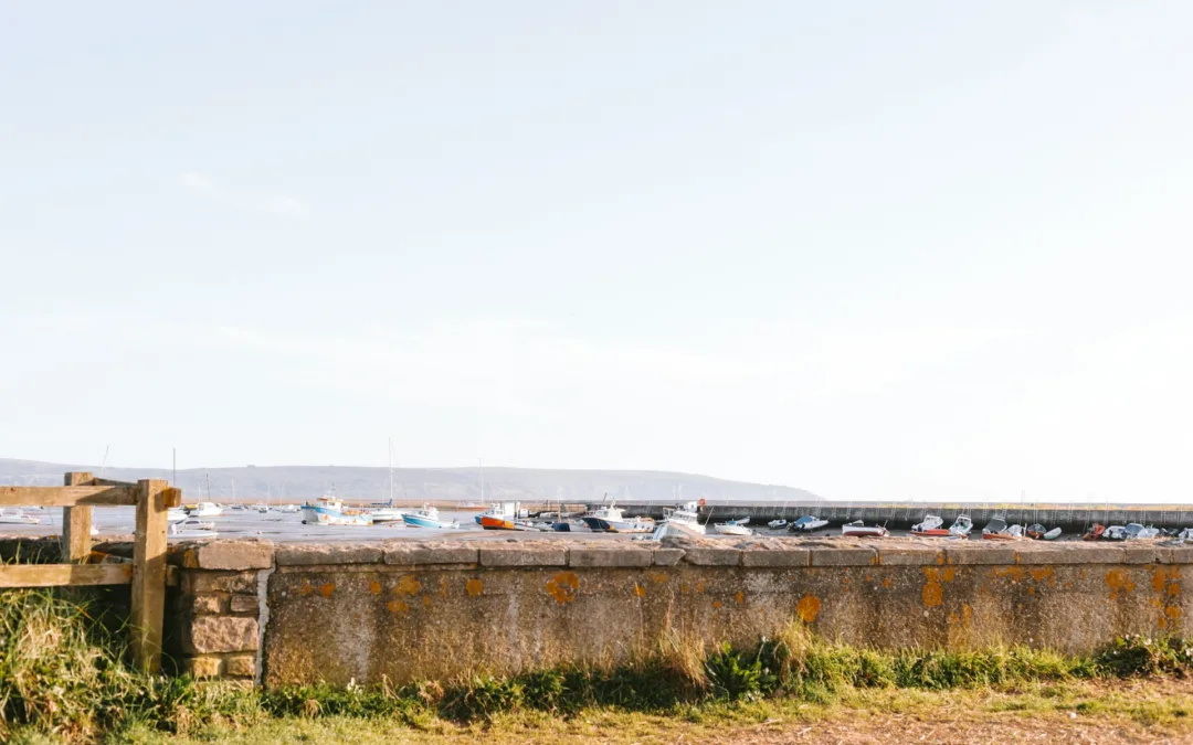 Seawall Erosion Prevention Tips For A Stronger Shoreline