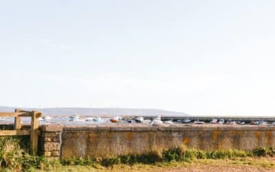 Seawall Erosion Prevention Tips For A Stronger Shoreline