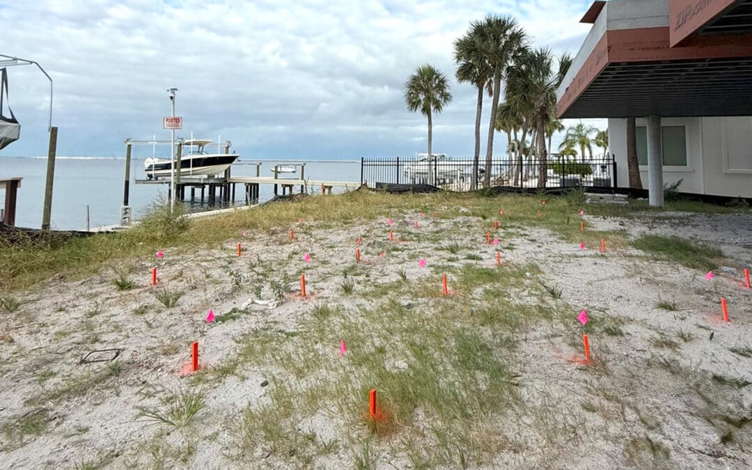 Poor Drainage Causing Foundation Issues and How to Stop It