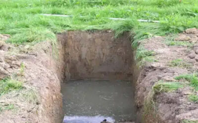 Saltwater Erosion Seawall Damage Guide