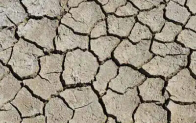 Flood Damage Foundation Repair After Storms