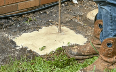 How Expensive Is Foundation Repair? Costs Homeowners Should Know