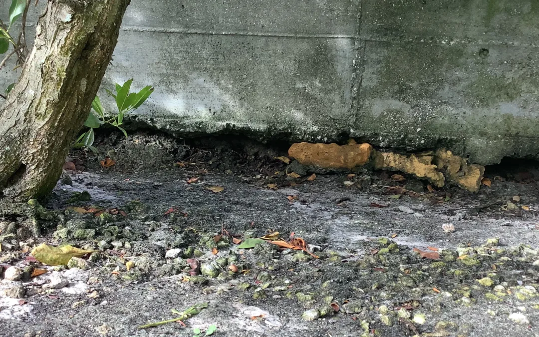 Foundation Drainage Solutions For Slab Homes Built For Florida Rain