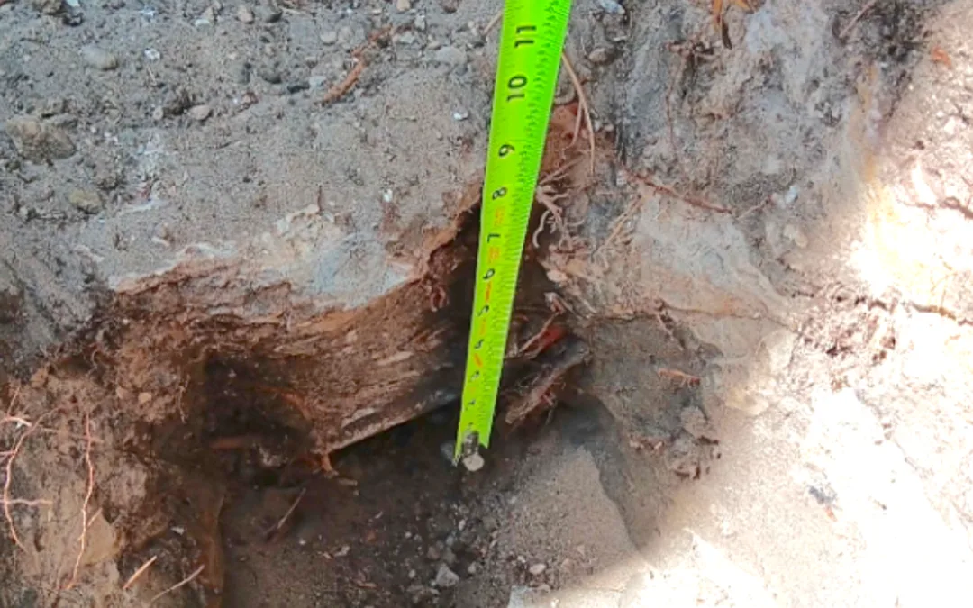 Foundation Repair Contractors: How To Choose With Confidence