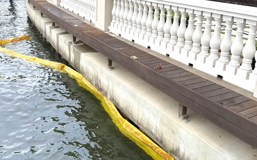 Common Causes Of Seawall Voids And How To Spot Them Early