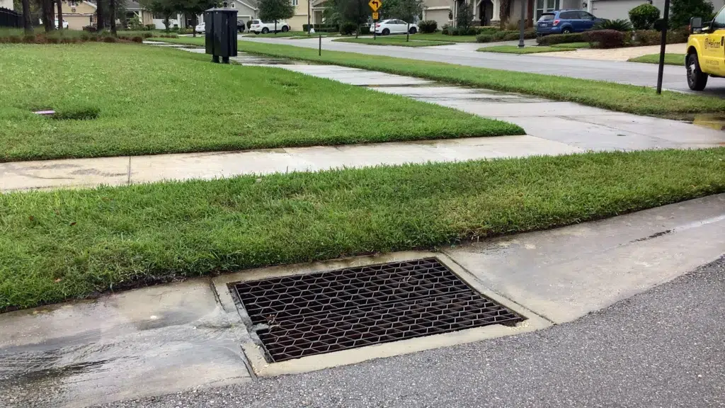 Curbside storm drain with a hex‑pattern grate beside a wet residential street and lawn after rainfall.