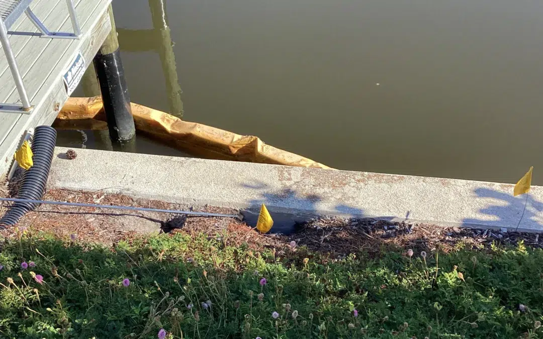 Seawall Repair vs Replacement: What Homeowners Should Know 