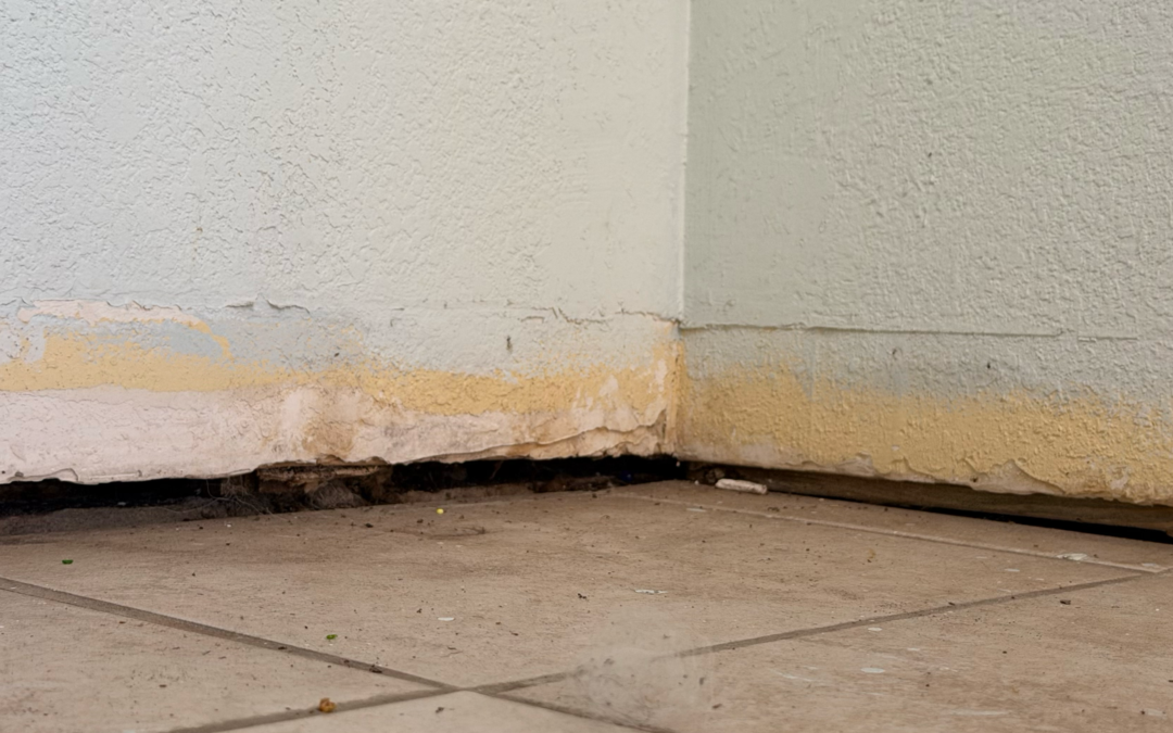 Uneven Floors in Slab Homes: Causes and Solutions for Florida Homeowners 