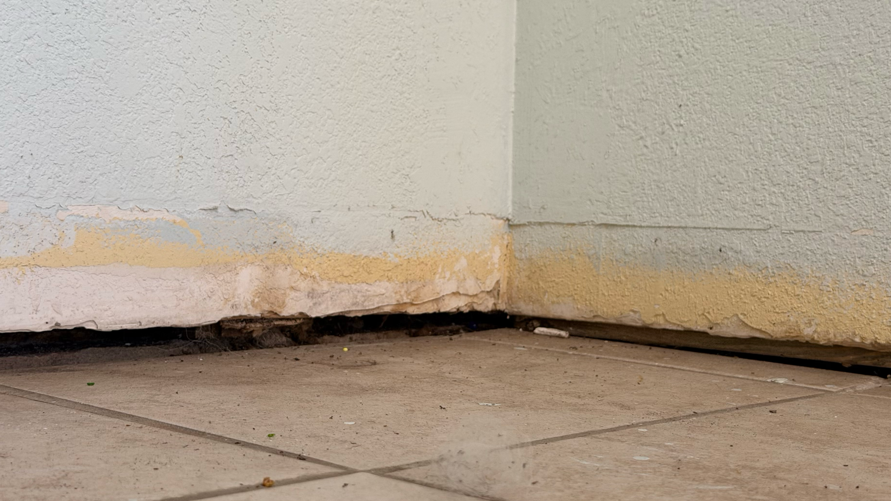 Uneven Floors in Slab Homes: Causes and Solutions for Florida Homeowners 