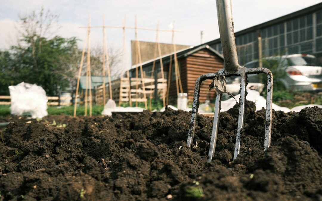 Compaction Grouting for Soil Stabilization in Florida: Will It Help Your Home?