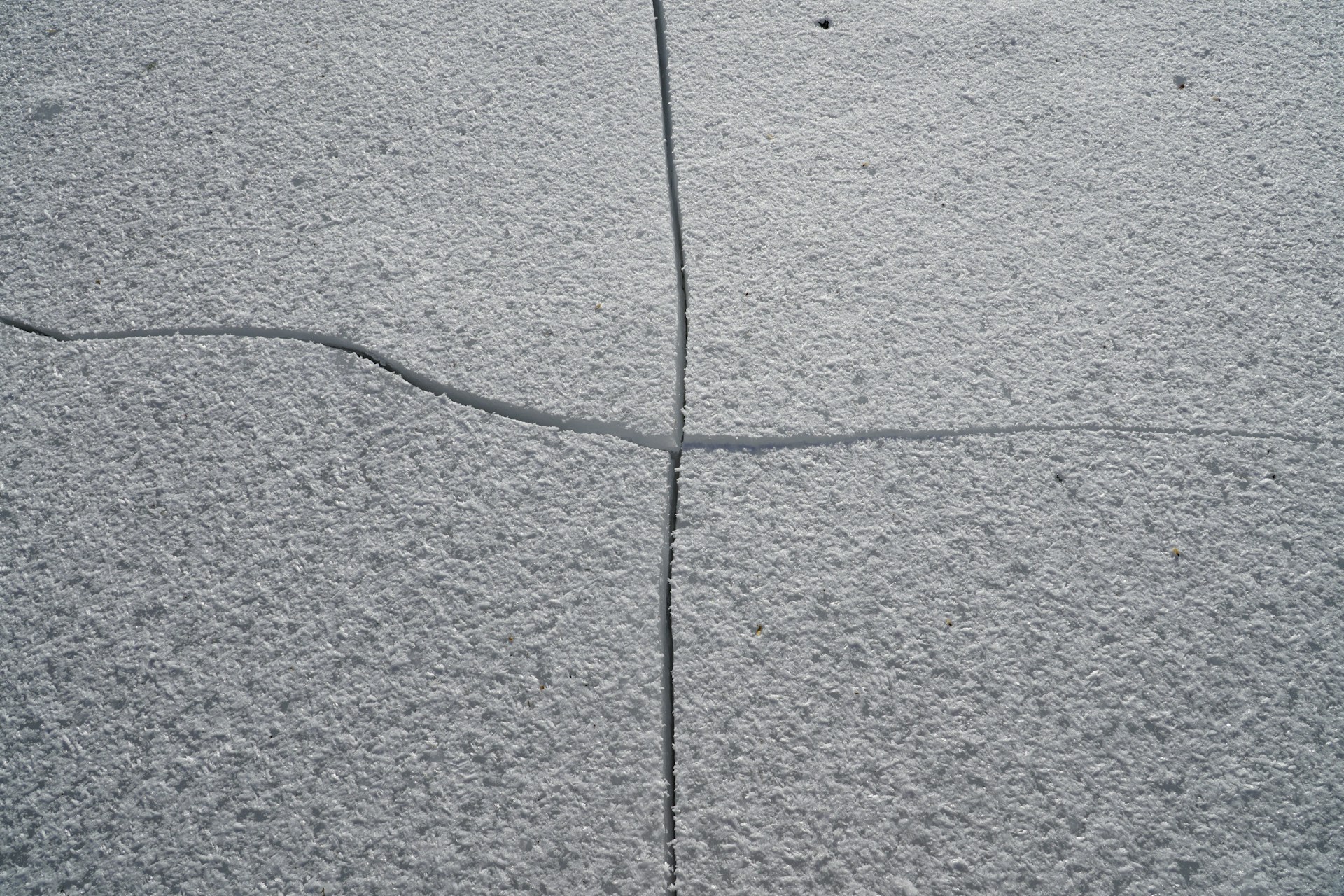 Concrete Trip Hazard Liability on Commercial Property in Florida: What to Log